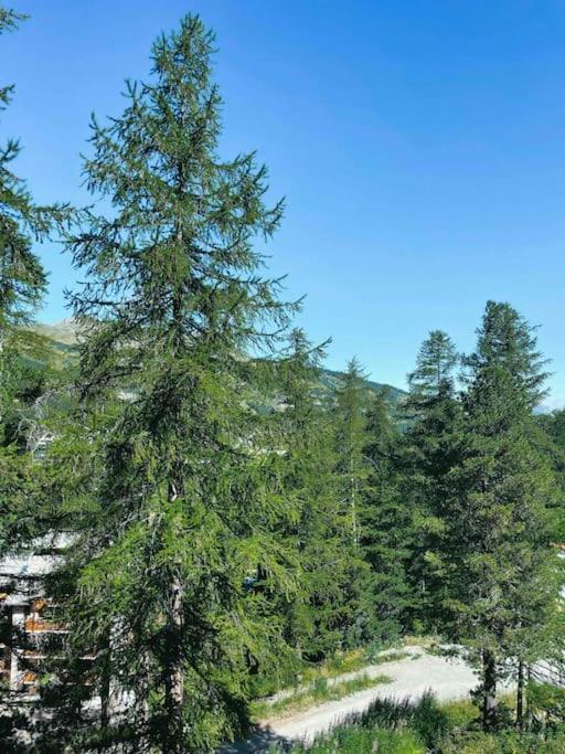 Au Pied Des Pistes Avec Terrasse Apartment